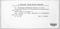 Image Associated With the Occurence